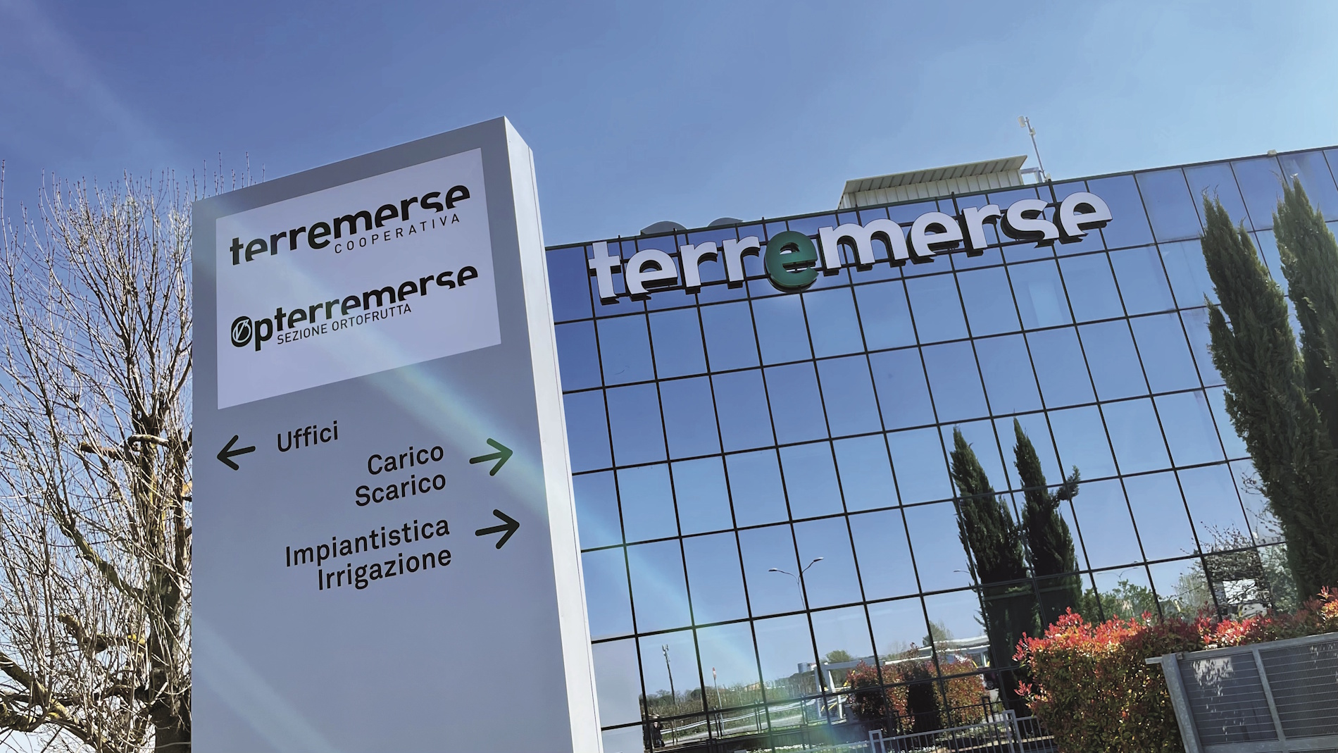 Immagine ortosolare terremerse